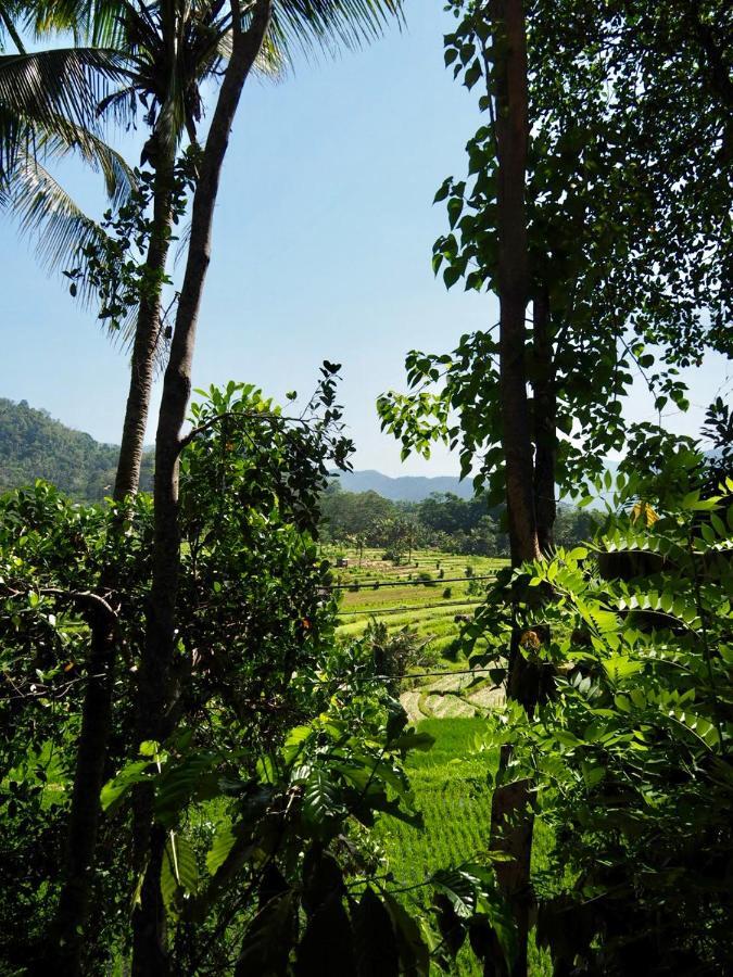 سيديمين Green Vanilla Bungalow المظهر الخارجي الصورة