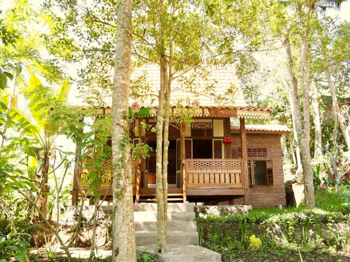 سيديمين Green Vanilla Bungalow المظهر الخارجي الصورة